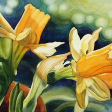 Схема вышивки «цветочные акварели. нарциссы»