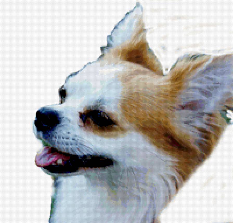 микки - предпросмотр