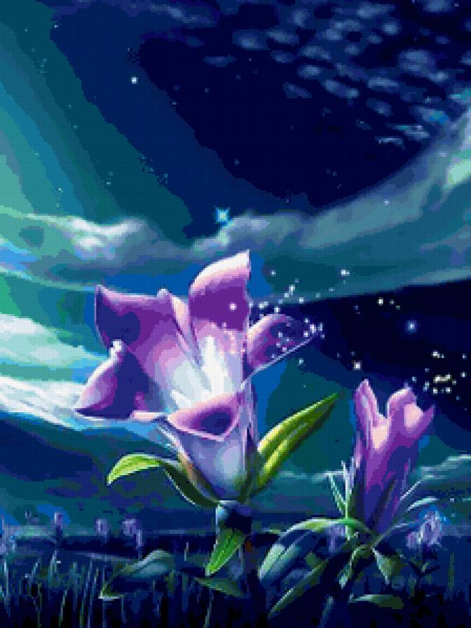 ночные цветы - предпросмотр