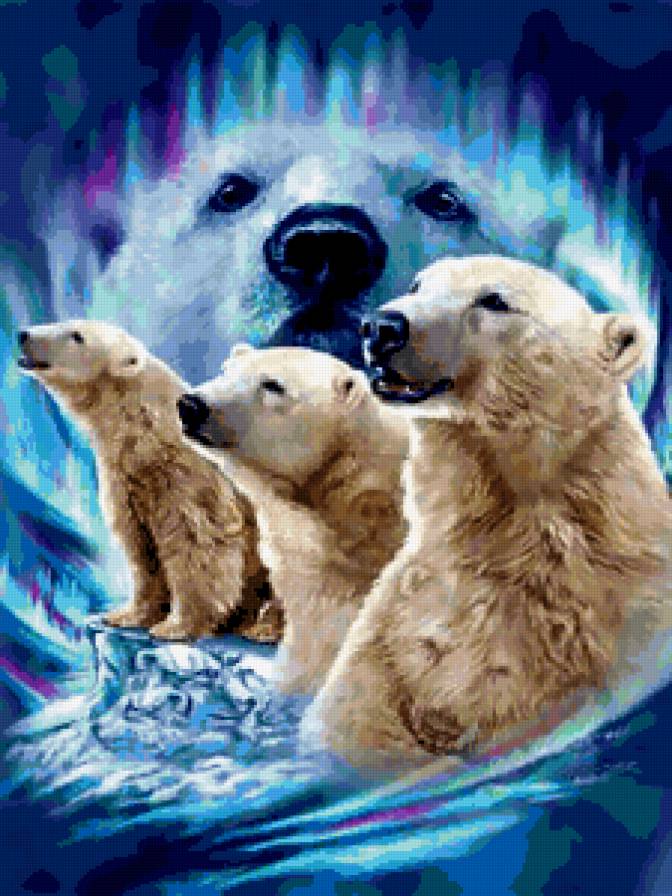 белые медведи - предпросмотр