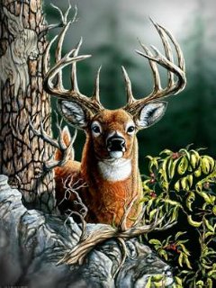 благородный олень - оригинал