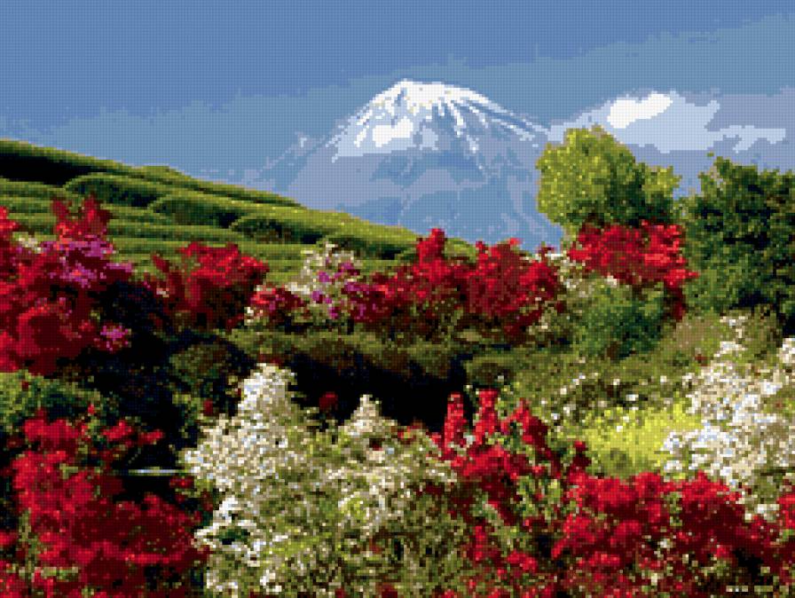 №180255 - горы, цветы, пейзаж - предпросмотр