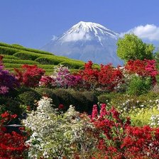 Схема вышивки «№180255»