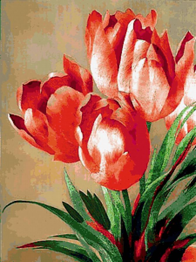 №180265 - тюльпаны, цветы - предпросмотр