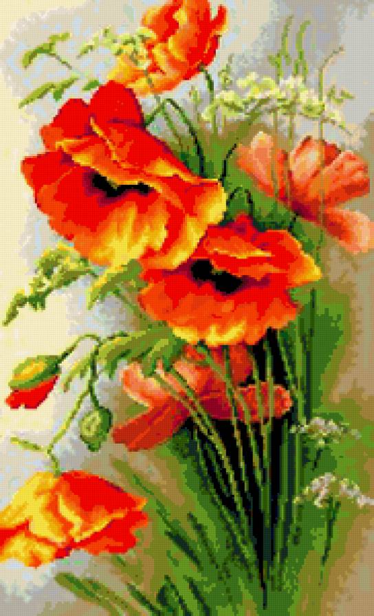 маки - маки цветы - предпросмотр