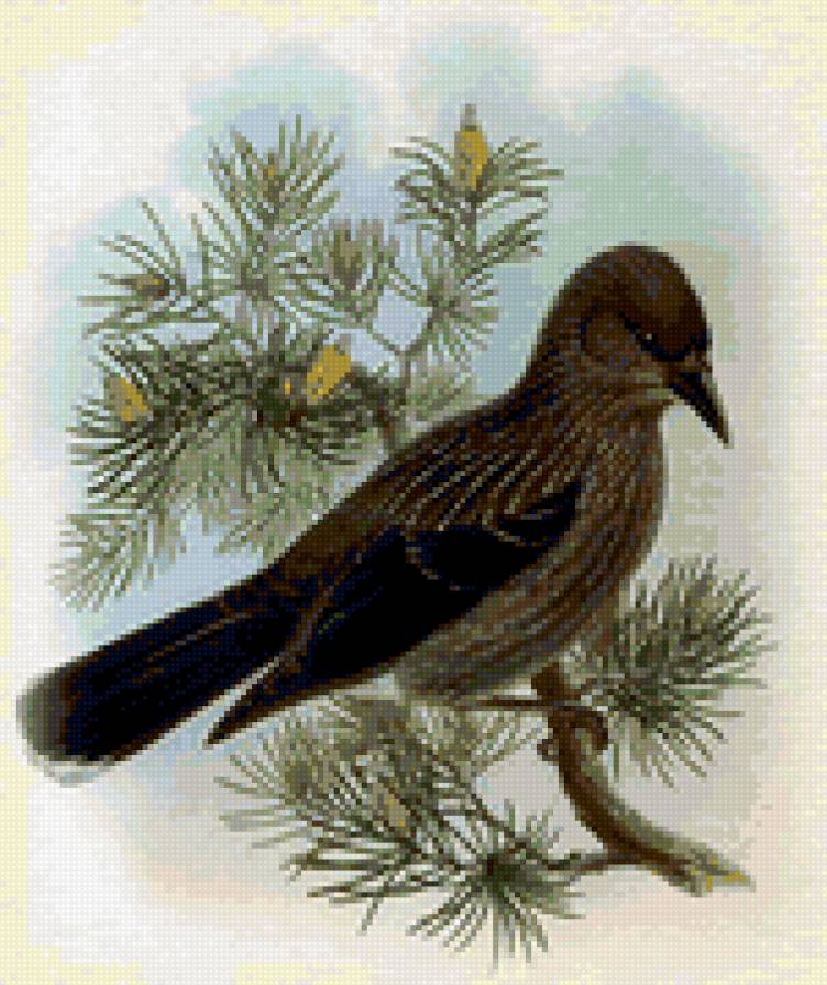 №180324 - предпросмотр