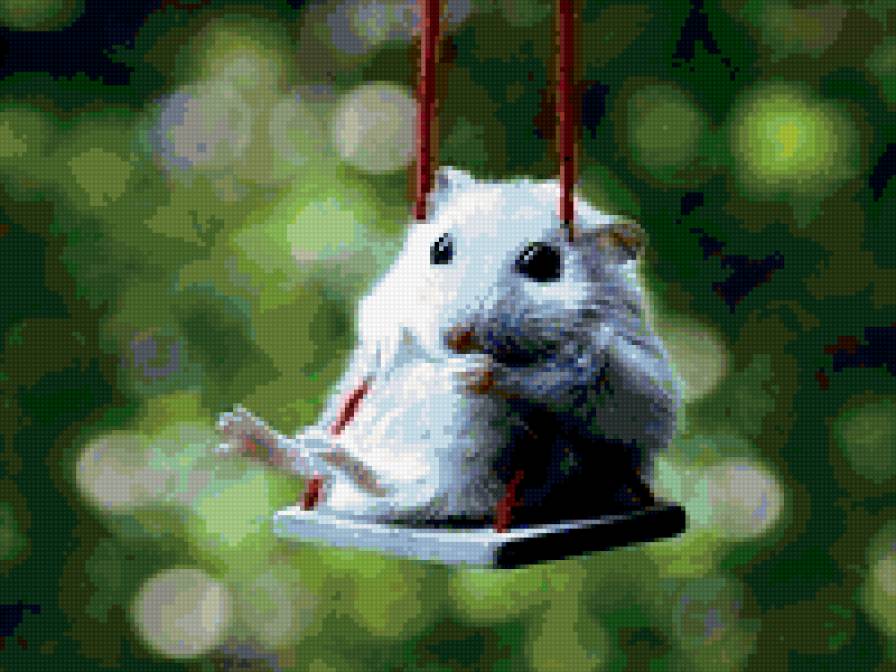 564 - предпросмотр