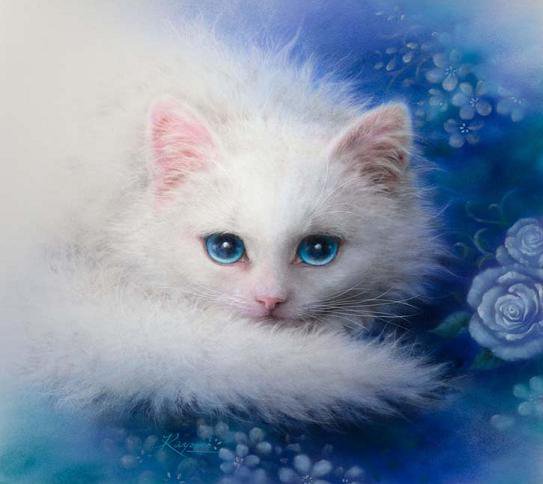 вид коктейля - кошка - оригинал