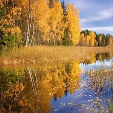 Схема вышивки «569»