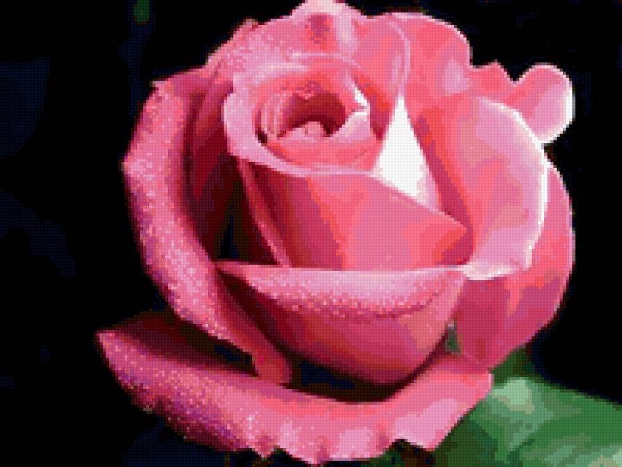 57896 - бутон, роза, цветы, цветок - предпросмотр