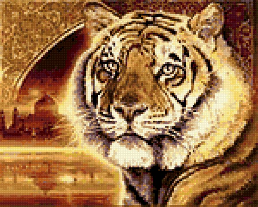 Тигр Шейх - животные, тигр, восток - предпросмотр