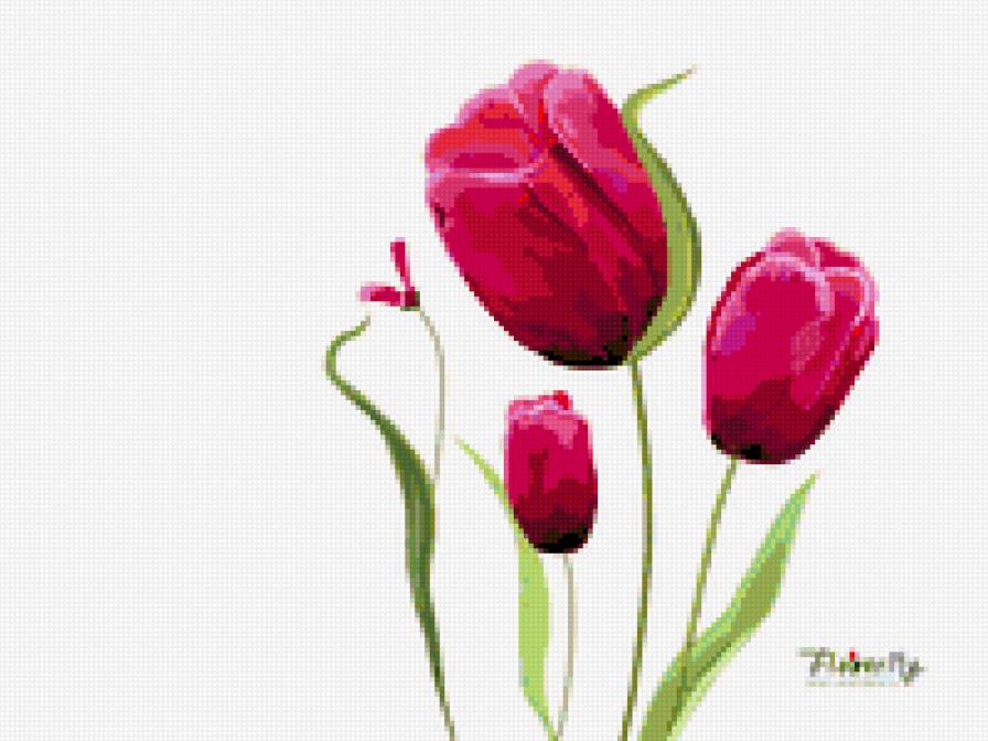 Женщина-цветок - женщина, девушка, тюльпан, цветы, романтика - предпросмотр