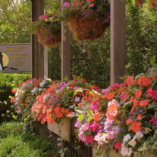 Схема вышивки «нантакет»