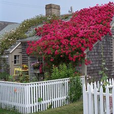 Схема вышивки «нантакет»