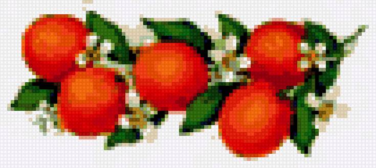 Апельсины на ветке - фрукты, цветы, цитрусы - предпросмотр