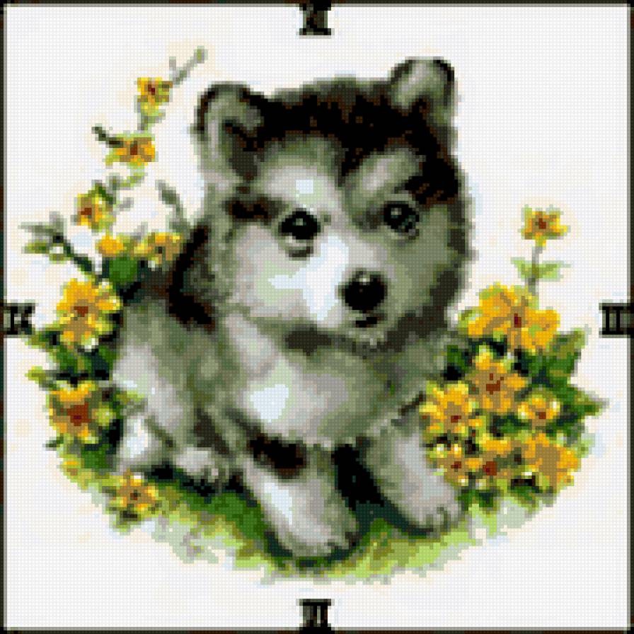 Часы, щенок - собаки, часы, щенок - предпросмотр