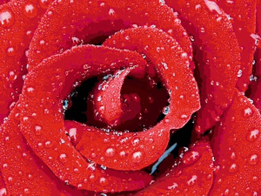 №180759 - картина, живопись, цветы, искусство - предпросмотр