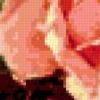 Предпросмотр схемы вышивки «Букет Роз» (№180819)