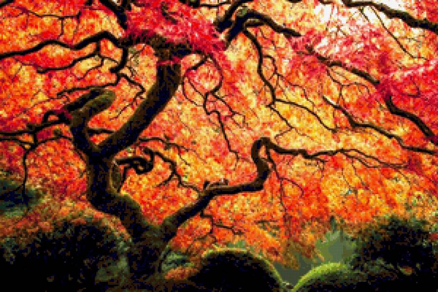 Осень - осень - предпросмотр