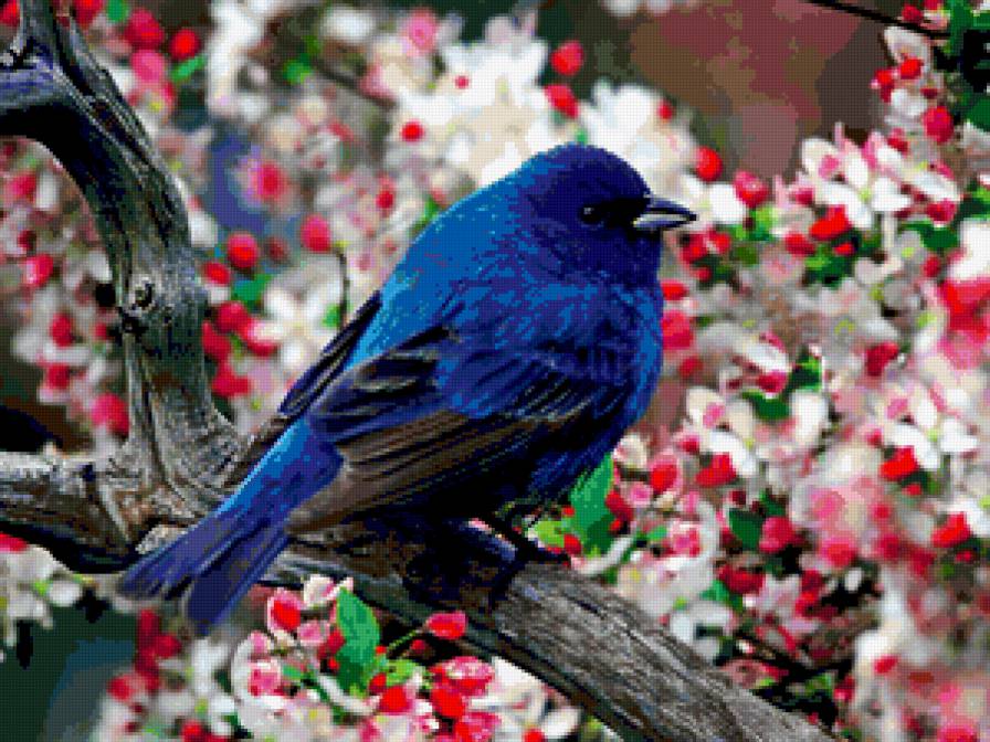 №181061 - предпросмотр