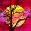 Схема вышивки «Дерево»