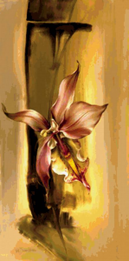 орхидея - живопись, красота, цветы, орхидея - предпросмотр