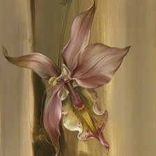 Оригинал схемы вышивки «орхидея» (№181255)