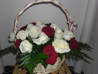 Троянди - оригинал