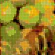 Предпросмотр схемы вышивки «Фрукти» (№181299)