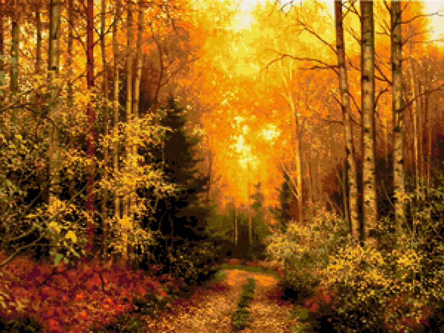 осенний пейзаж - лес, природа, пейзаж, дорога, осень - предпросмотр