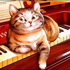музыкальный кот