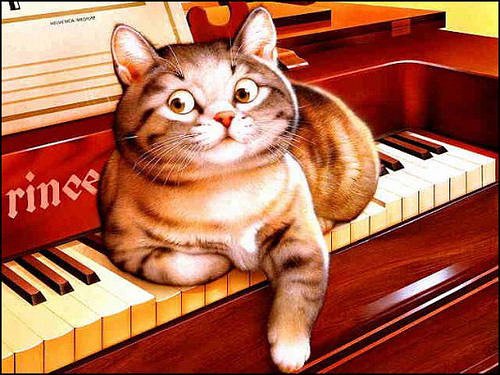 музыкальный кот - кот, прикол, музыка - оригинал