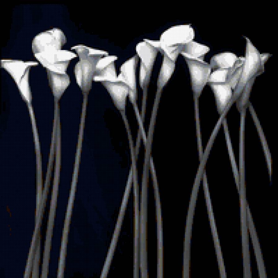 коалы - цветы - предпросмотр