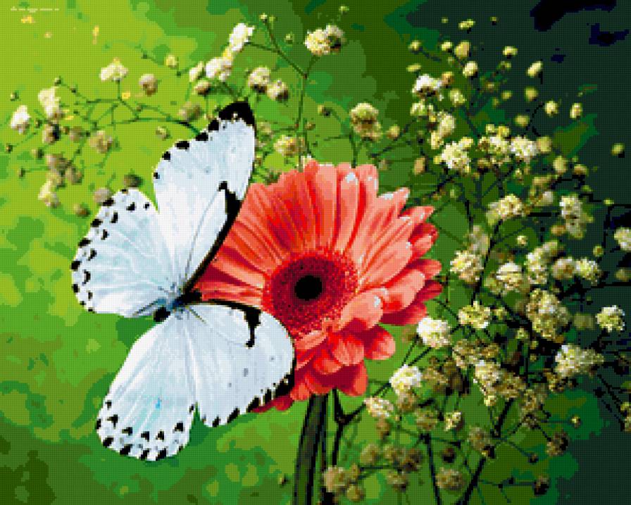 Бабочка на цветке - картина, цветы, бабочка - предпросмотр