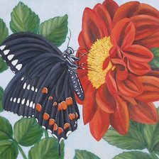 Оригинал схемы вышивки «Бабочка и цветок» (№181864)