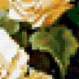 Предпросмотр схемы вышивки «натюрморт» (№181895)