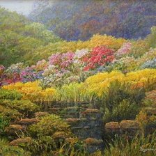 Цветущие холмы