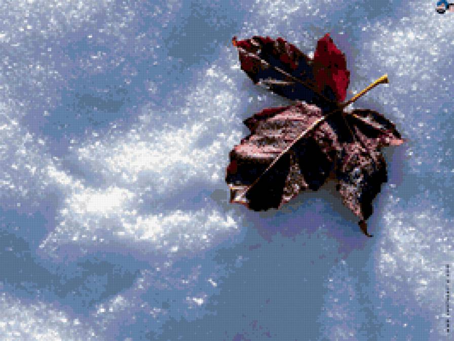 Лист на снегу - природа, зима - предпросмотр