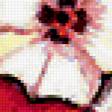 Предпросмотр схемы вышивки «Флоксы» (№182222)