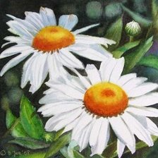 Схема вышивки «Ромашки»