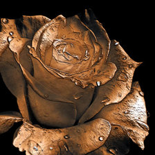 Схема вышивки «Роза»