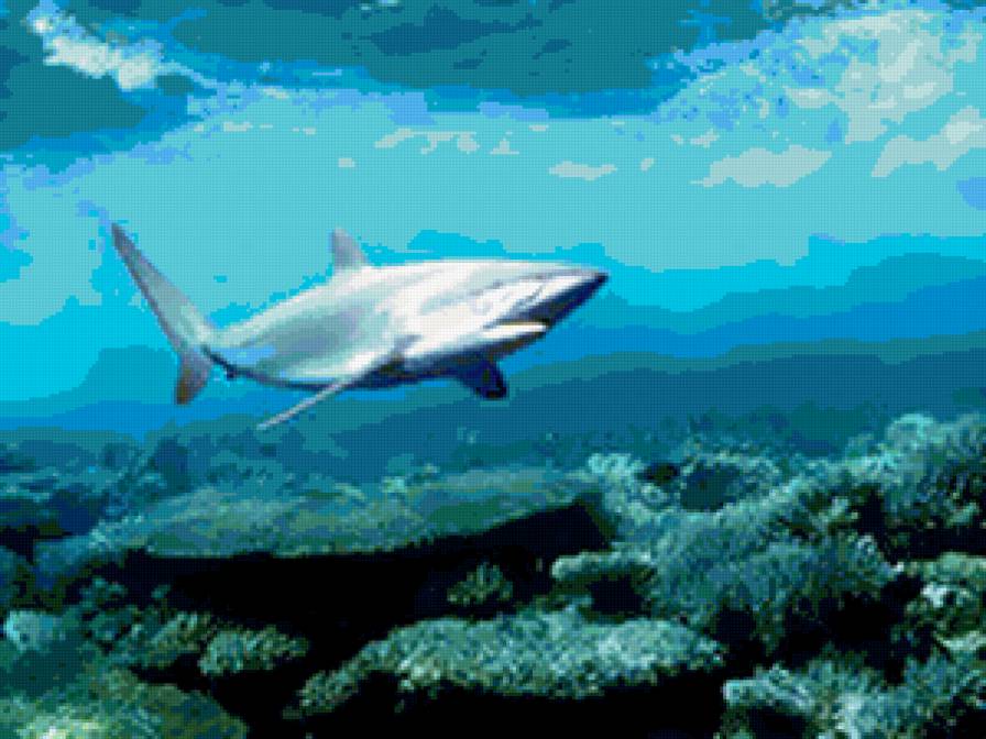 подводный мир - предпросмотр