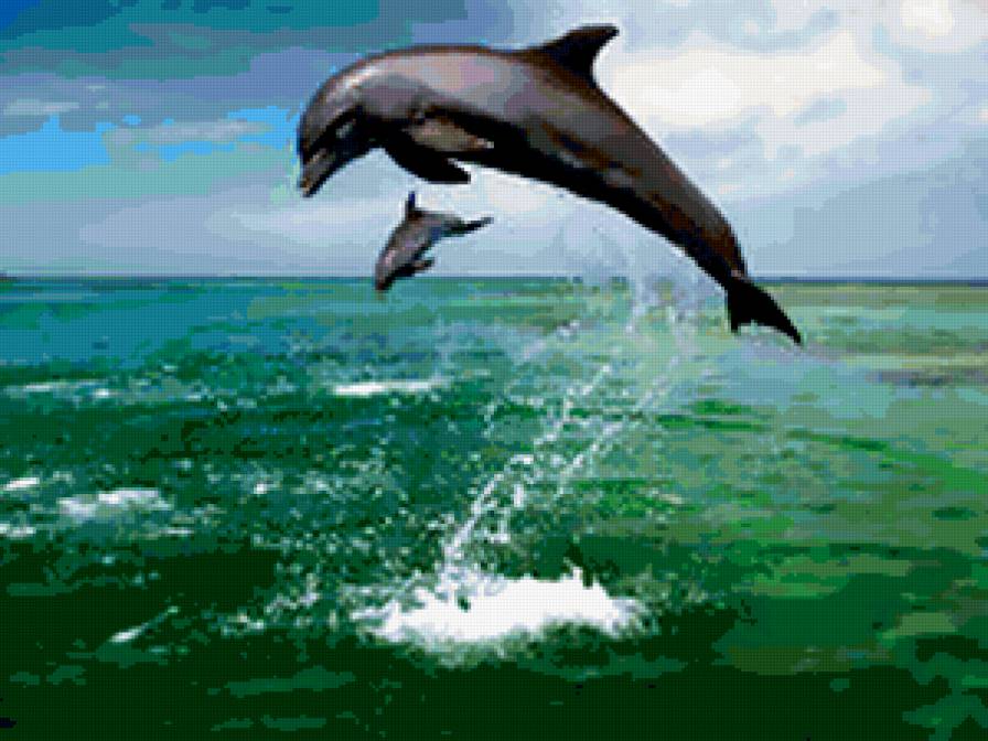 подводный мир - предпросмотр