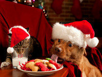 Схема вышивки «что за чудо-новый  год»