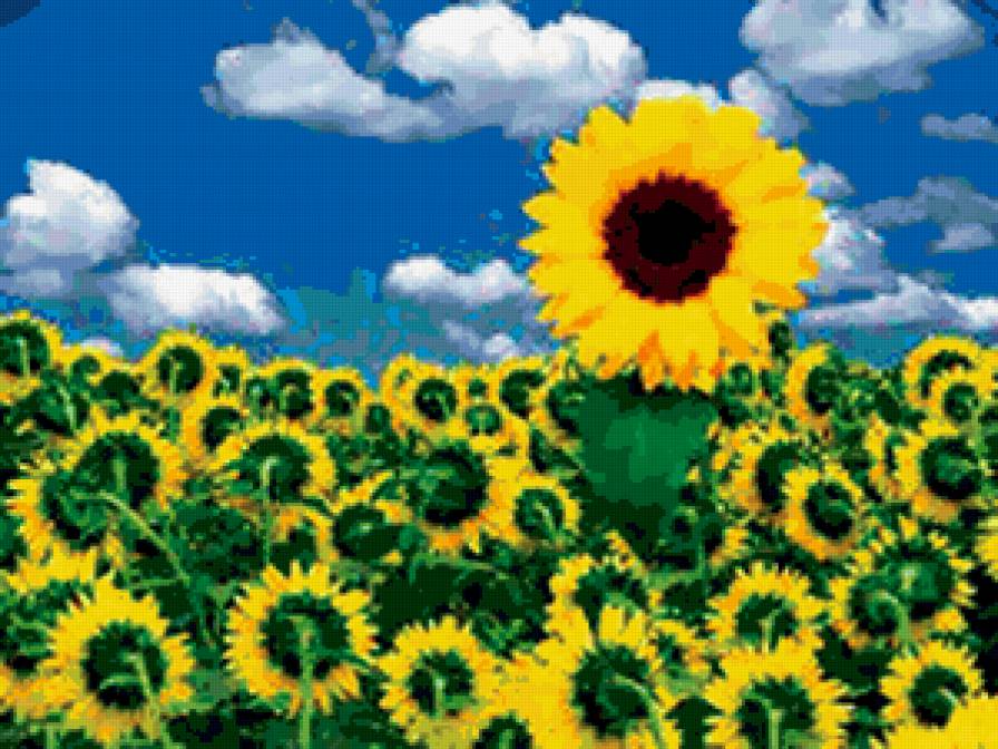 №182476 - предпросмотр