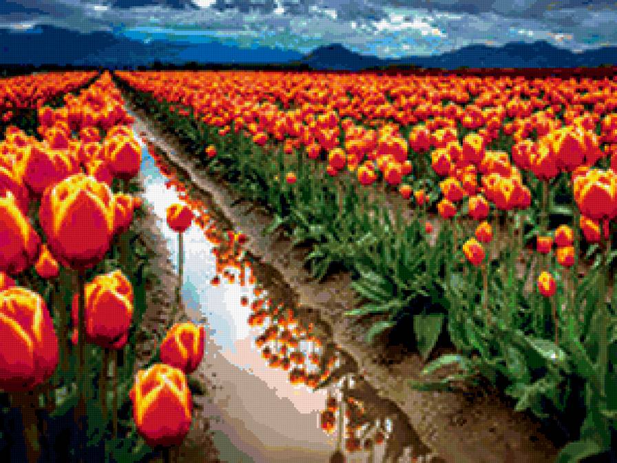 №182482 - предпросмотр