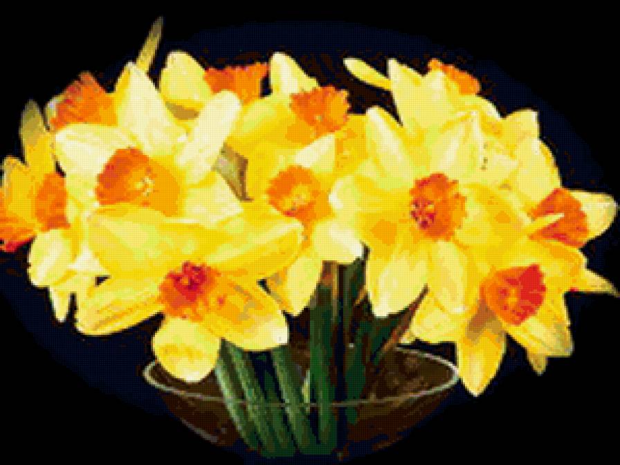 №182484 - предпросмотр