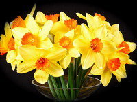 Схема вышивки «№182484»