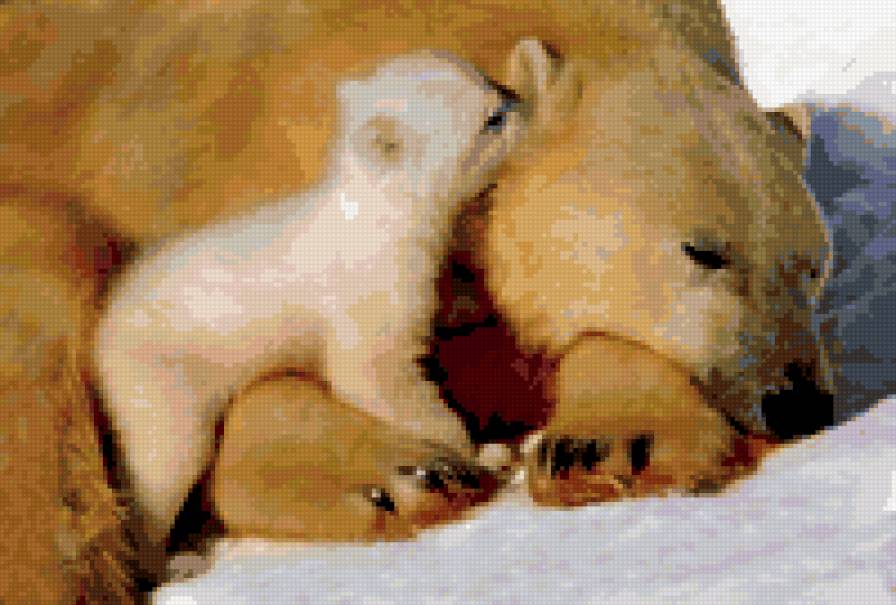 Мишки - предпросмотр