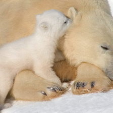 Схема вышивки «Мишки»